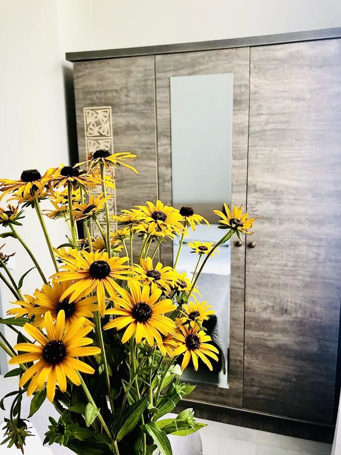 Апарт-отели Hotel Kristal Кобулети-21